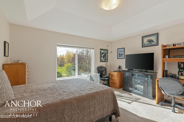 carpeted bedroom with a tray ceiling