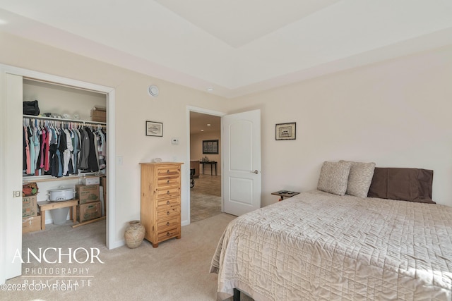 carpeted bedroom with a tray ceiling and a closet