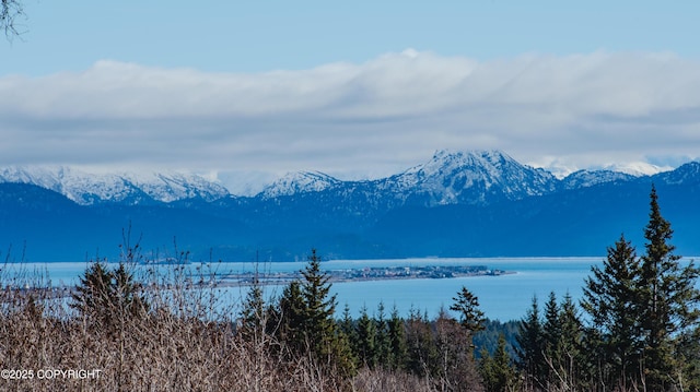 3834 Tajen Ln, Homer, AK 99603 - photo 4
