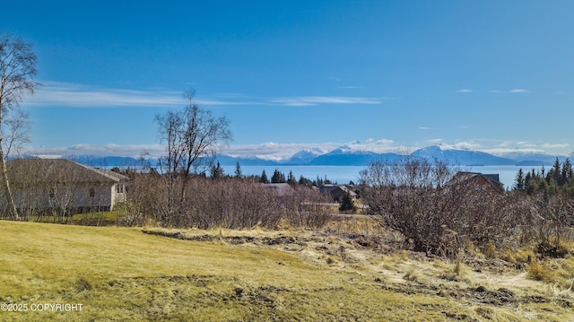 3834 Tajen Ln, Homer, AK 99603 - photo 1