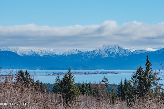 3834 Tajen Ln, Homer, AK 99603 - photo 5