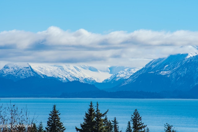 3834 Tajen Ln, Homer, AK 99603 - photo 6