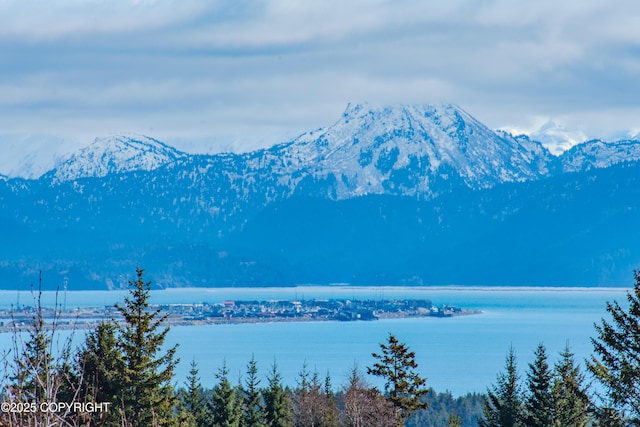 3834 Tajen Ln, Homer, AK 99603 - photo 7