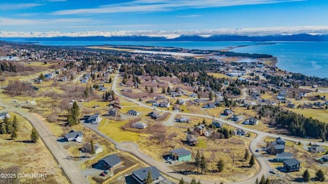 3834 Tajen Ln, Homer, AK 99603 - photo 9