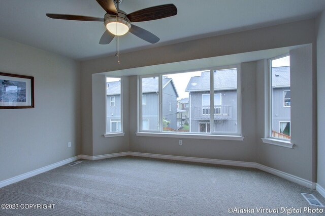 300 Shageluk St, Anchorage, AK 99504 - carpeted spare room with plenty of natural light, baseboards, and visible vents