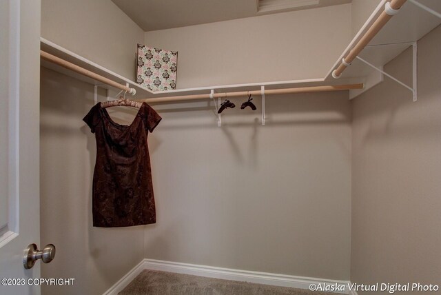 300 Shageluk St, Anchorage, AK 99504 - spacious closet featuring carpet flooring