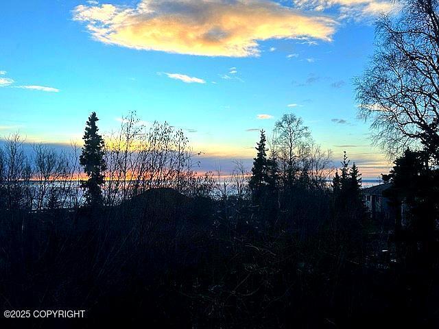 view of nature