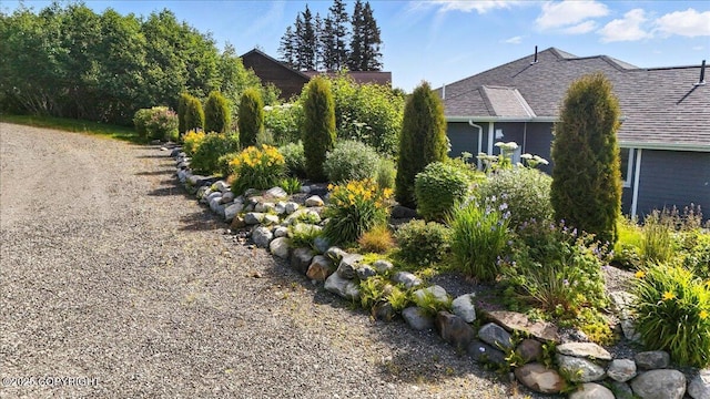 3866 Cabana Ct, Homer, AK 99603 - view of yard