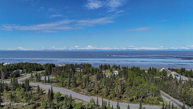 L6/L3 Salty Cir, Kenai, AK 99611
