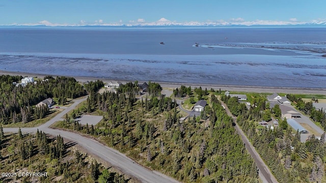 L6/L3 Salty Cir, Kenai, AK 99611