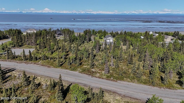 L6/L3 Salty Cir, Kenai, AK 99611