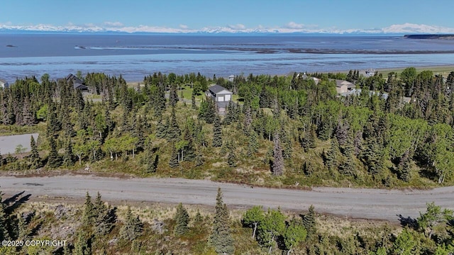 L6/L3 Salty Cir, Kenai, AK 99611