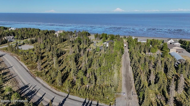 L6/L3 Salty Cir, Kenai, AK 99611