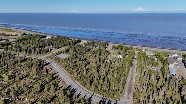 L6/L3 Salty Cir, Kenai, AK 99611