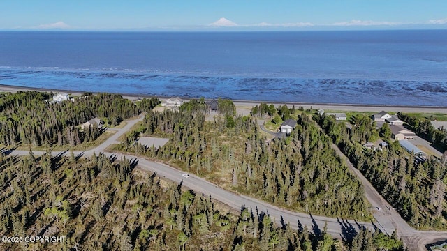 L6/L3 Salty Cir, Kenai, AK 99611