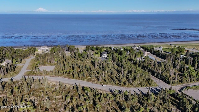 L6/L3 Salty Cir, Kenai, AK 99611