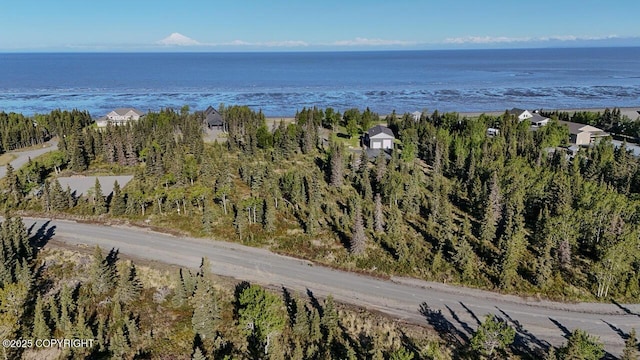 L6/L3 Salty Cir, Kenai, AK 99611