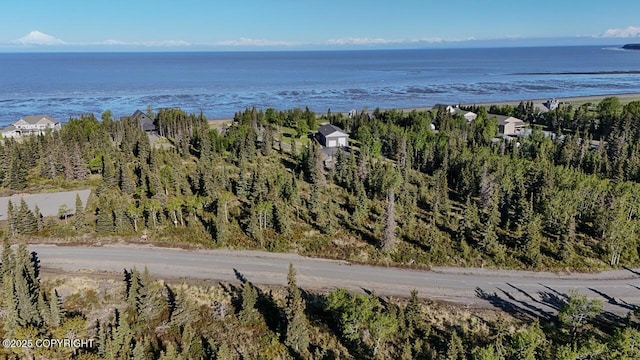 L6/L3 Salty Cir, Kenai, AK 99611