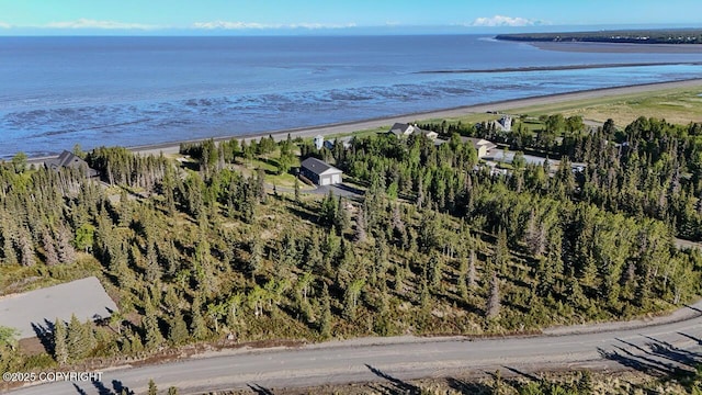L6/L3 Salty Cir, Kenai, AK 99611