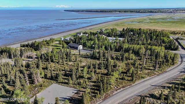 L6/L3 Salty Cir, Kenai, AK 99611