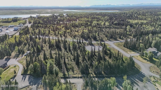 L6/L3 Salty Cir, Kenai, AK 99611