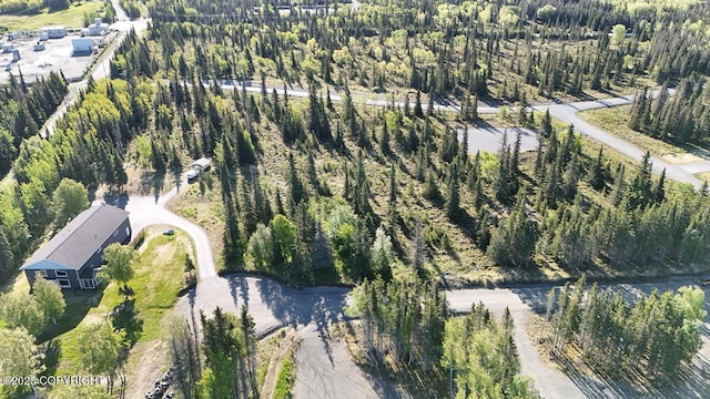 L6/L3 Salty Cir, Kenai, AK 99611