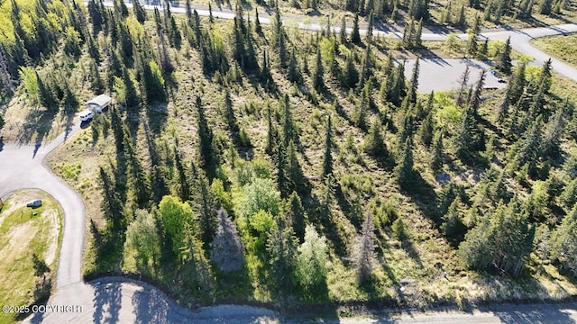 L6/L3 Salty Cir, Kenai, AK 99611