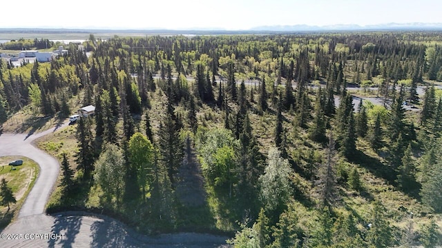 L6/L3 Salty Cir, Kenai, AK 99611