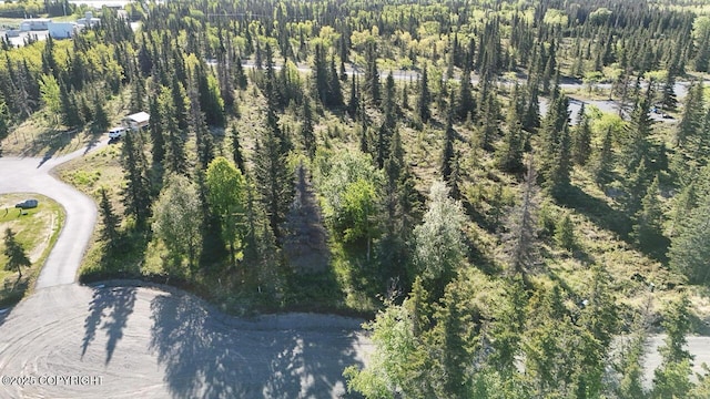 L6/L3 Salty Cir, Kenai, AK 99611