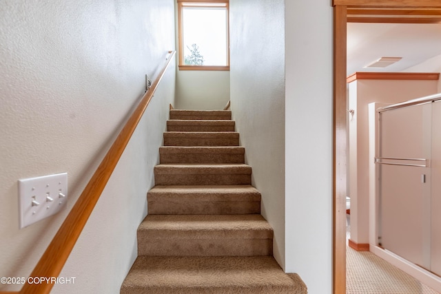 5751 N Tongass Hwy, Ketchikan, AK 99901 - stairs with carpet floors