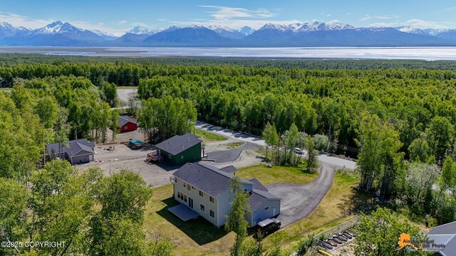 8007 S Knik Knack Mud Shack Rd, Wasilla, AK 99623 - drone / aerial view of a forest and a mountain backdrop