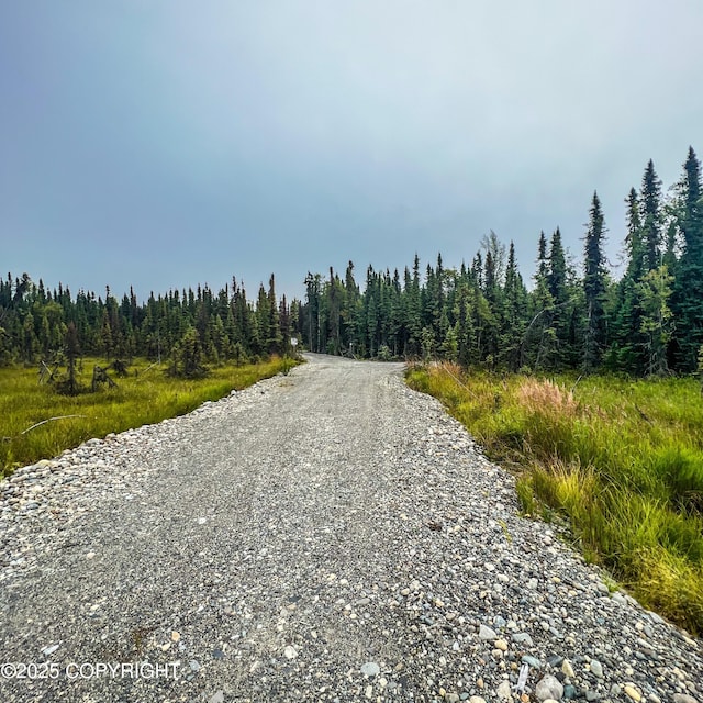 39795 Parks Hwy, Willow, AK 99688