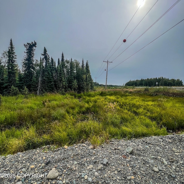 39795 Parks Hwy, Willow, AK 99688