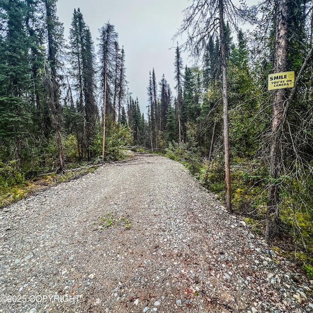 39795 Parks Hwy, Willow, AK 99688