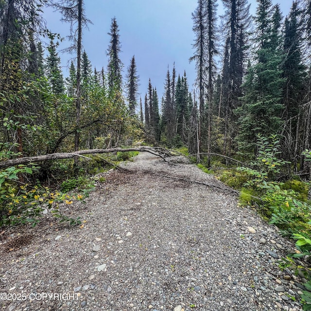 39795 Parks Hwy, Willow, AK 99688