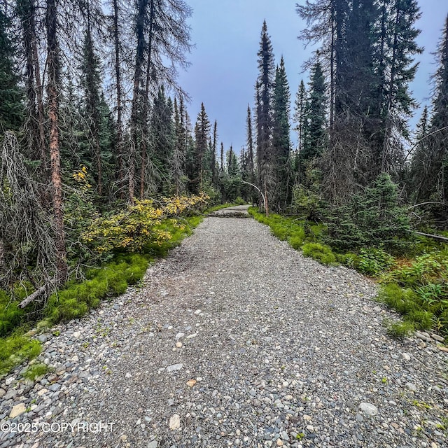 39795 Parks Hwy, Willow, AK 99688