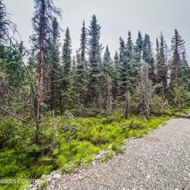 39795 Parks Hwy, Willow, AK 99688
