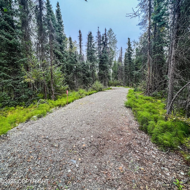 39795 Parks Hwy, Willow, AK 99688