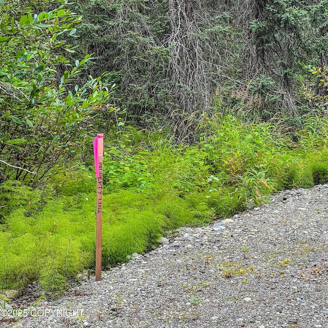 39795 Parks Hwy, Willow, AK 99688