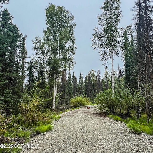 39795 Parks Hwy, Willow, AK 99688
