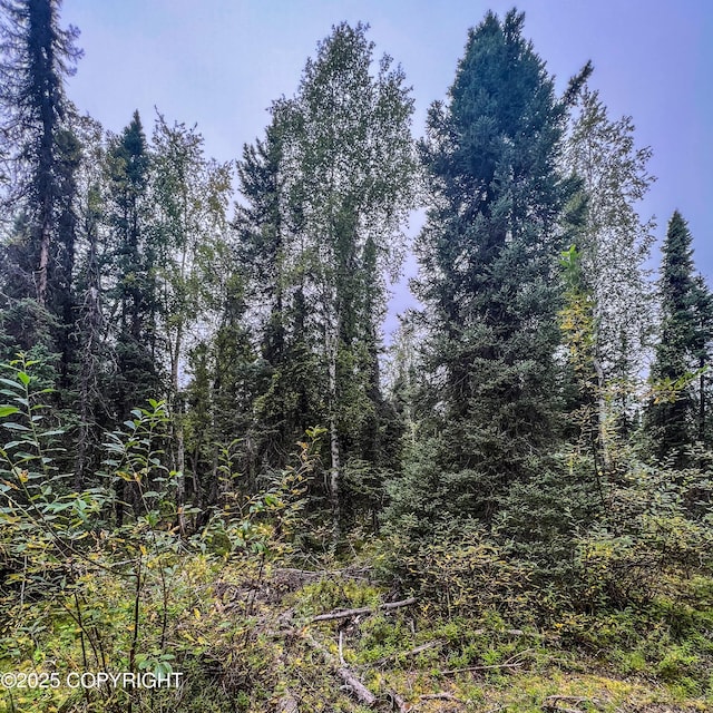 39795 Parks Hwy, Willow, AK 99688