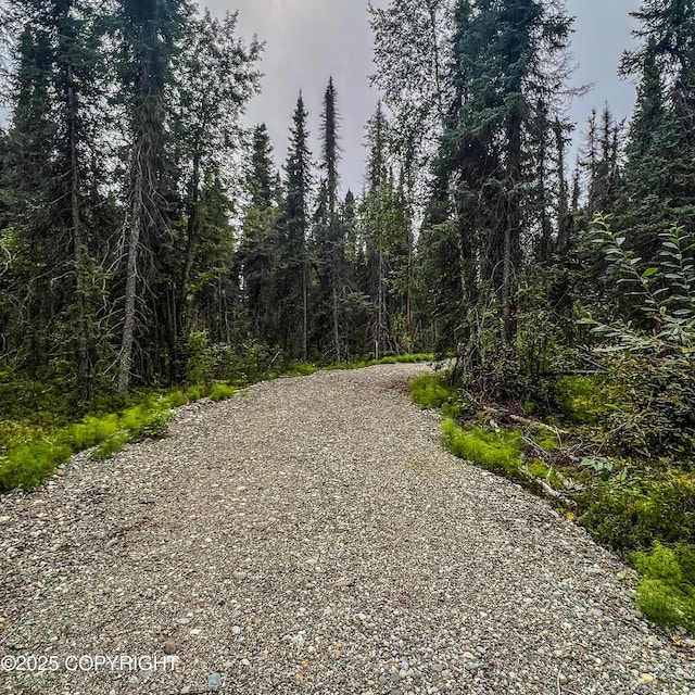 39795 Parks Hwy, Willow, AK 99688