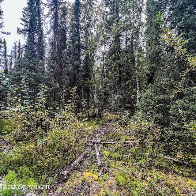 39795 Parks Hwy, Willow, AK 99688