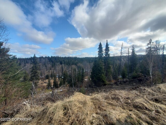 35232 N Fork Rd, Anchor Point, AK 99556