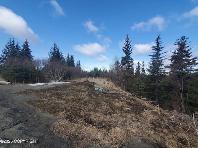 35232 N Fork Rd, Anchor Point, AK 99556