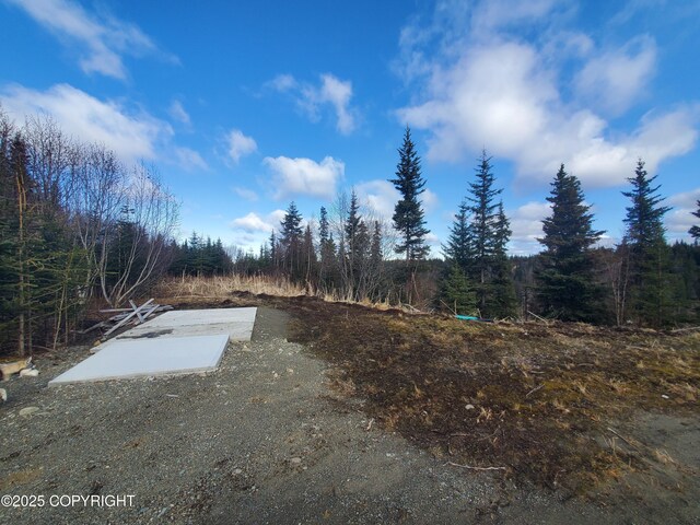 35232 N Fork Rd, Anchor Point, AK 99556