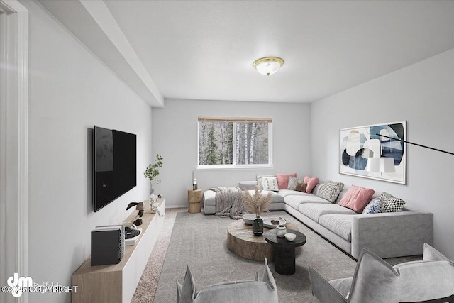 living area with carpet floors