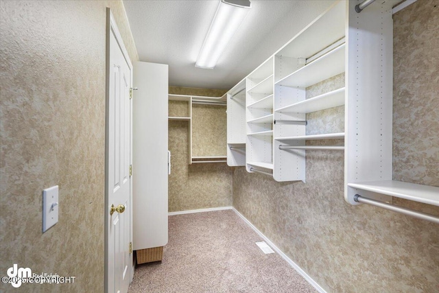 spacious closet with carpet flooring