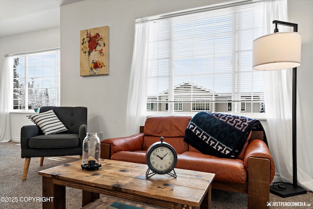 view of carpeted living area