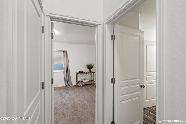 hallway featuring carpet floors